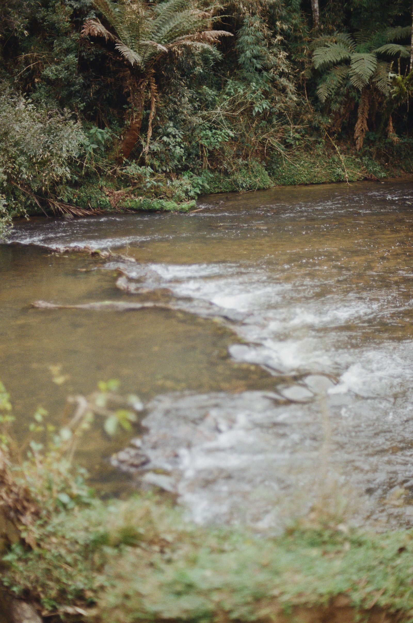Cheatham County, Middle Tennessee