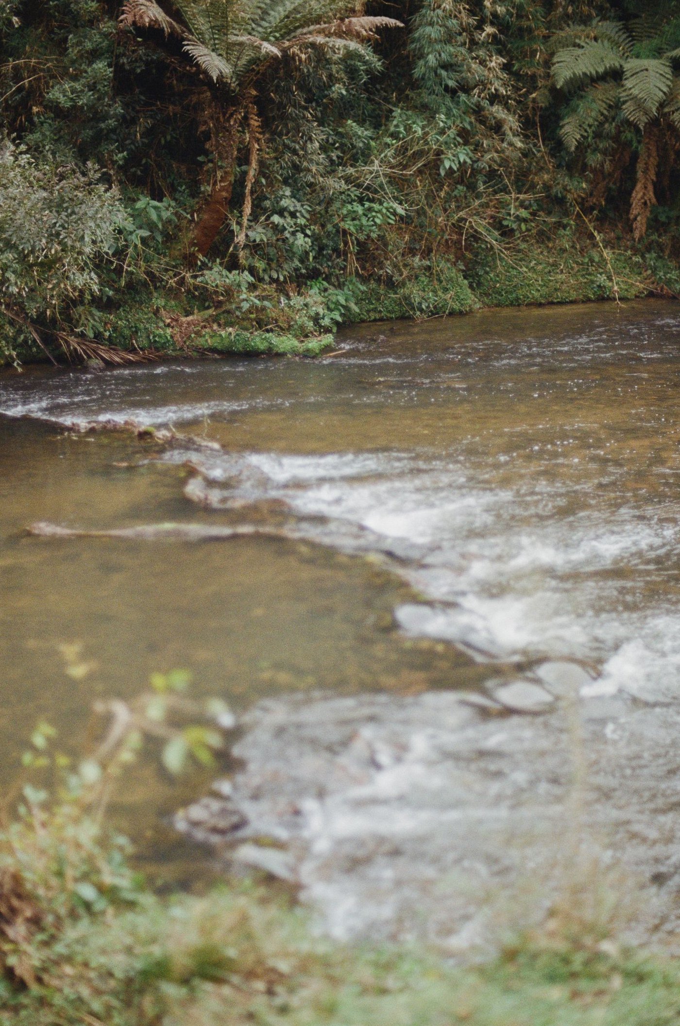Kingston Springs