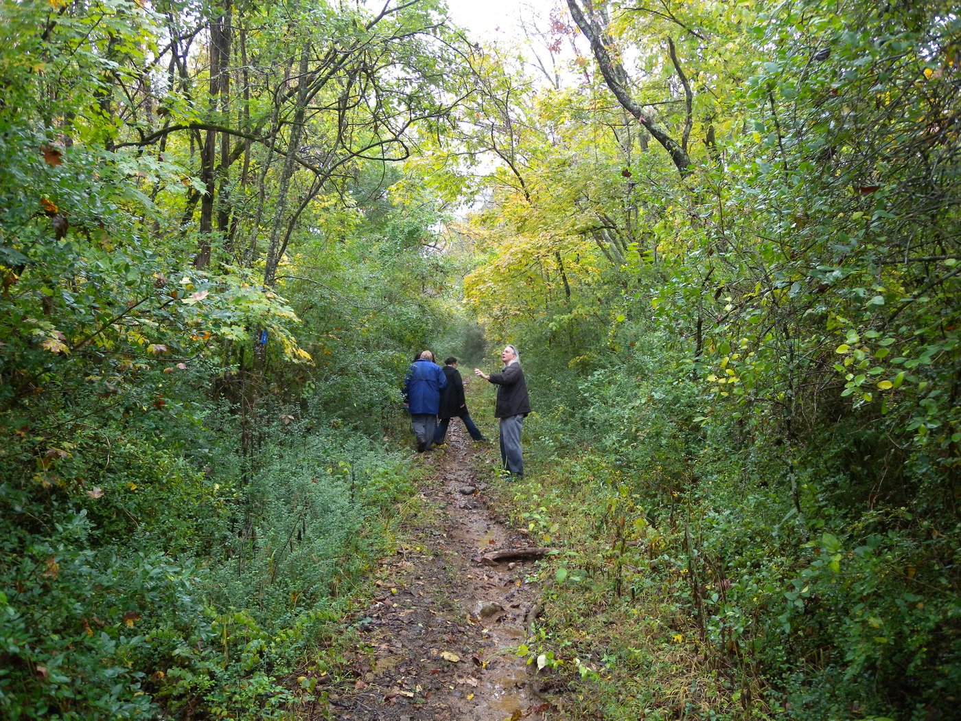 Visitors walking the Old Jefferson Trail in Smyrna, Tennessee